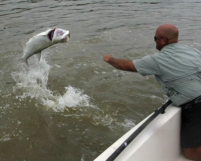 Caught Lookin Charters fishing photo