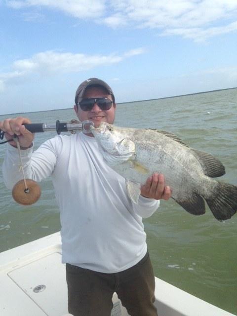 Caught Lookin Charters fishing photo