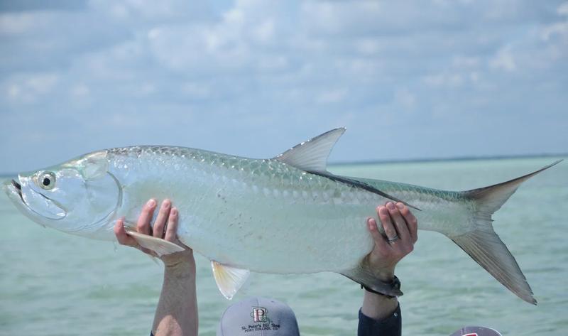 Caught Lookin Charters fishing photo