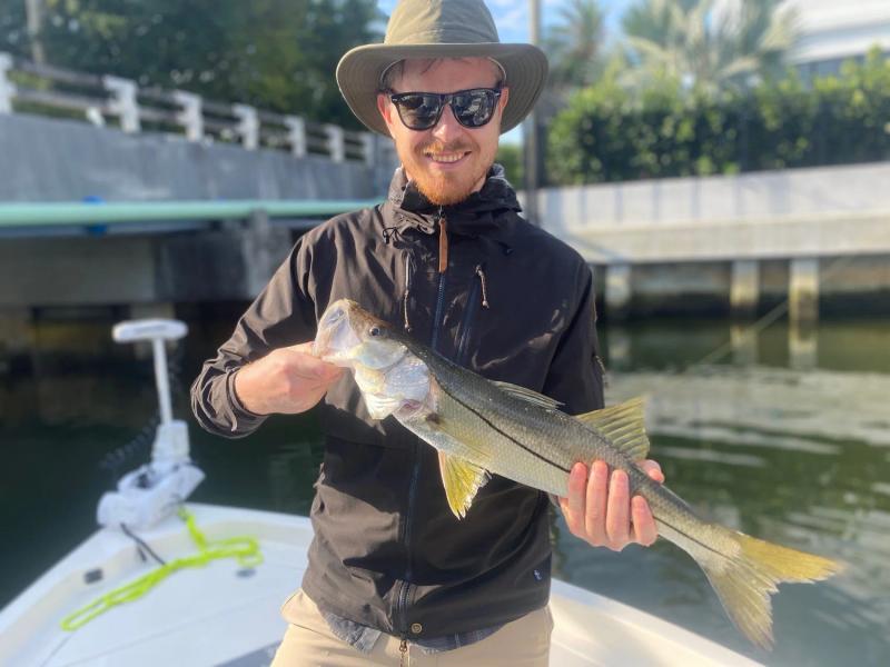 Everything is Biting!, photo 2