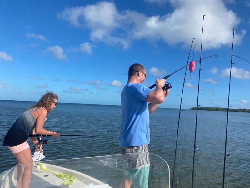 Everything is Biting!, photo 3