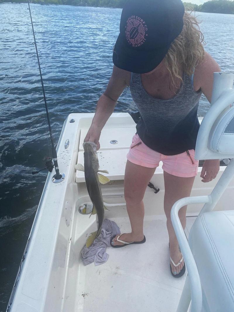 Everything is Biting!, photo 4