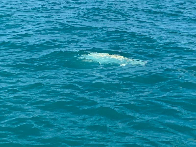 Everything is Biting!, photo 9