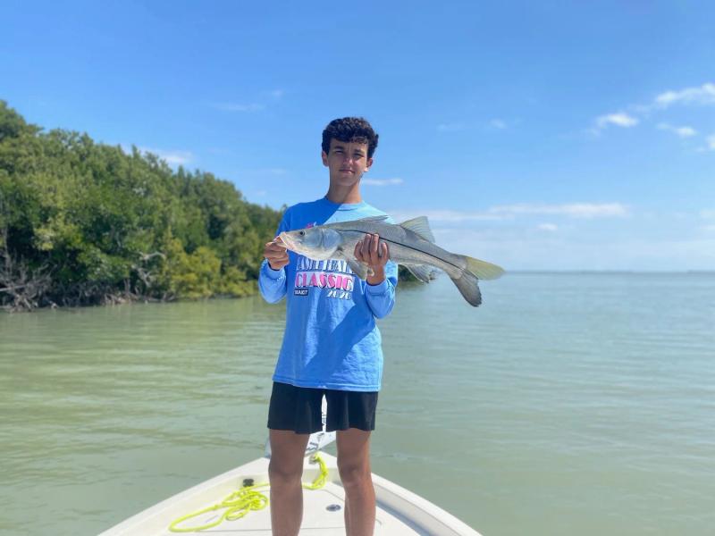 Everything is Biting!, photo 10