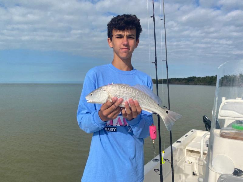 Everything is Biting!, photo 11