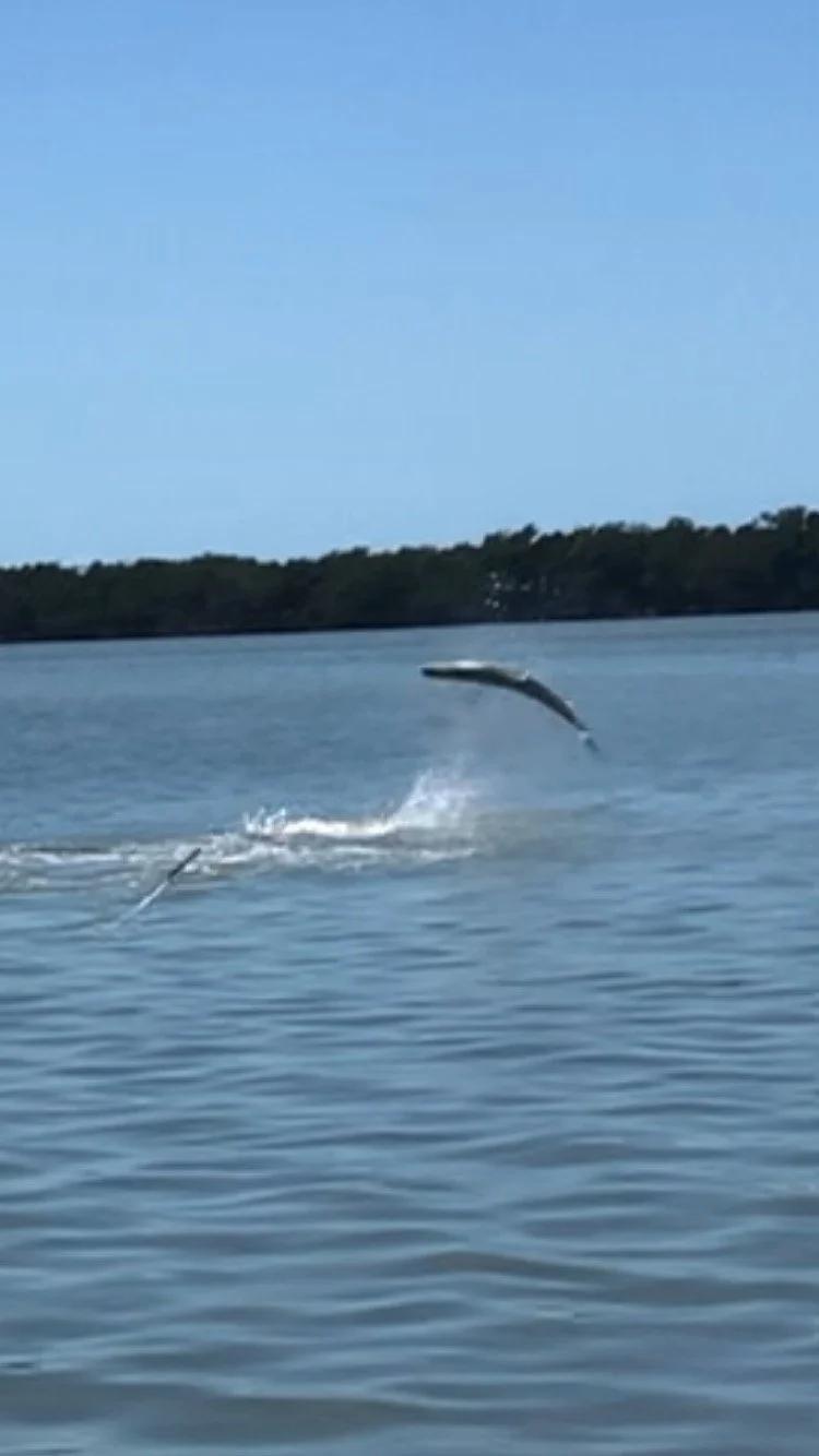 Spring Break 2024, Good Bite Going On!