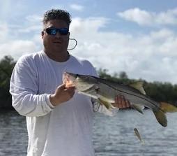 Tarpon and Snook are Biting!, photo 2