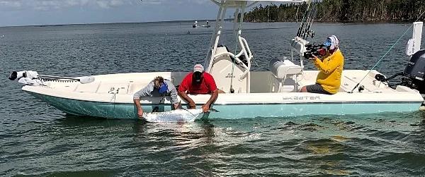 Tarpon -Tarpon - Tarpon, its on!, photo 5