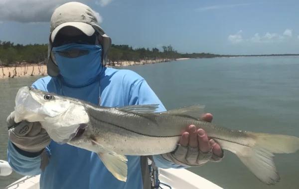 Winds down- Snook are Biting!, photo 3