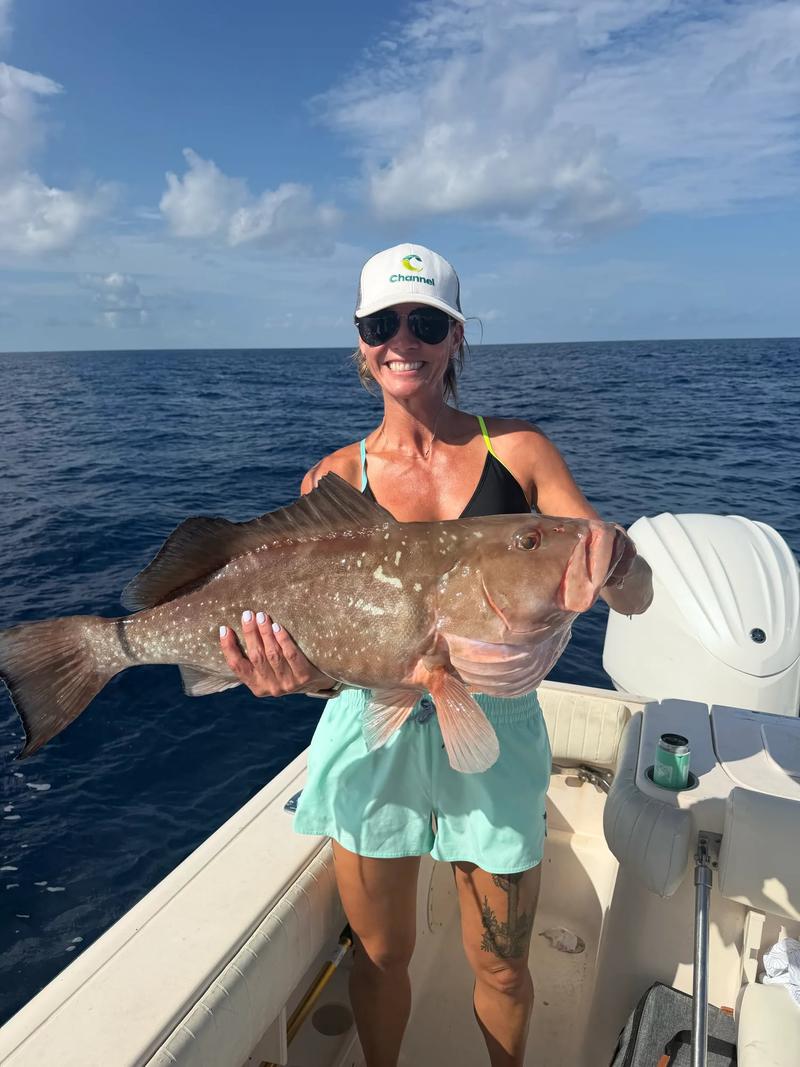 Offshore fishing in the Gulf with Go Fish SRQ Charters, Sarasota