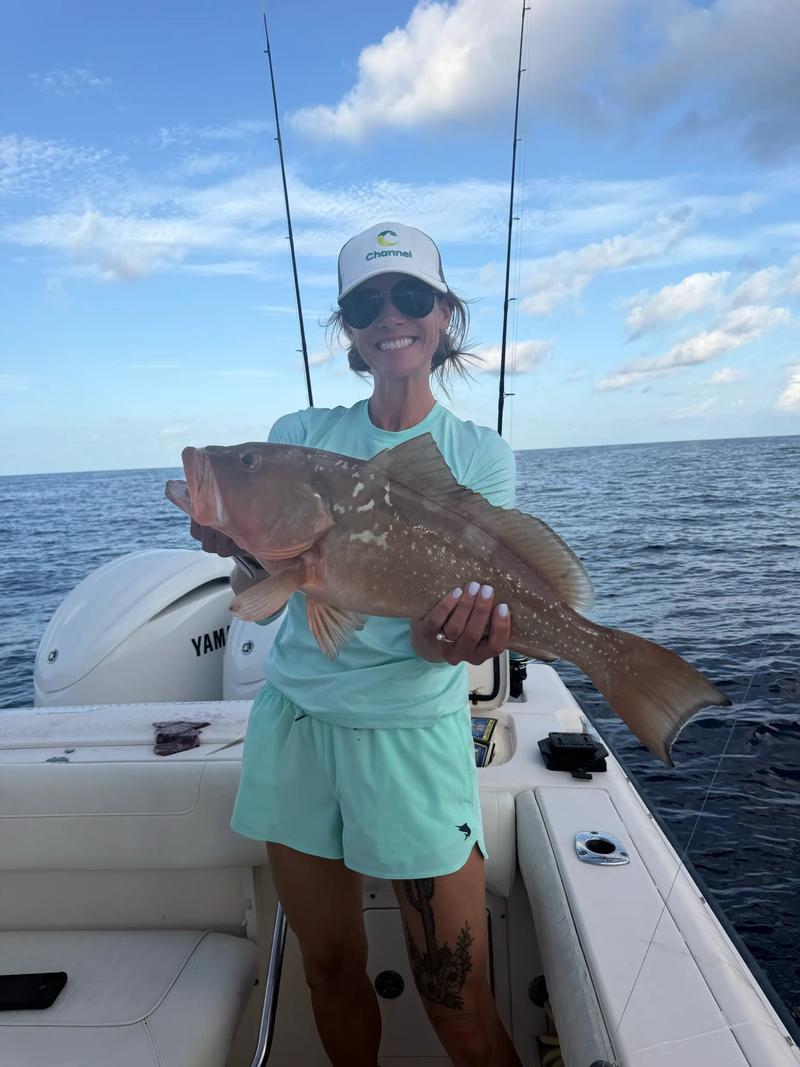 Offshore fishing in the Gulf with Go Fish SRQ Charters, Sarasota