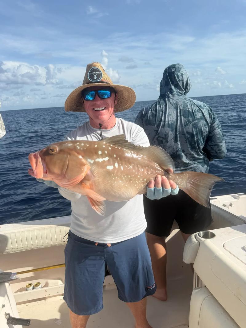 Offshore fishing in the Gulf with Go Fish SRQ Charters, Sarasota