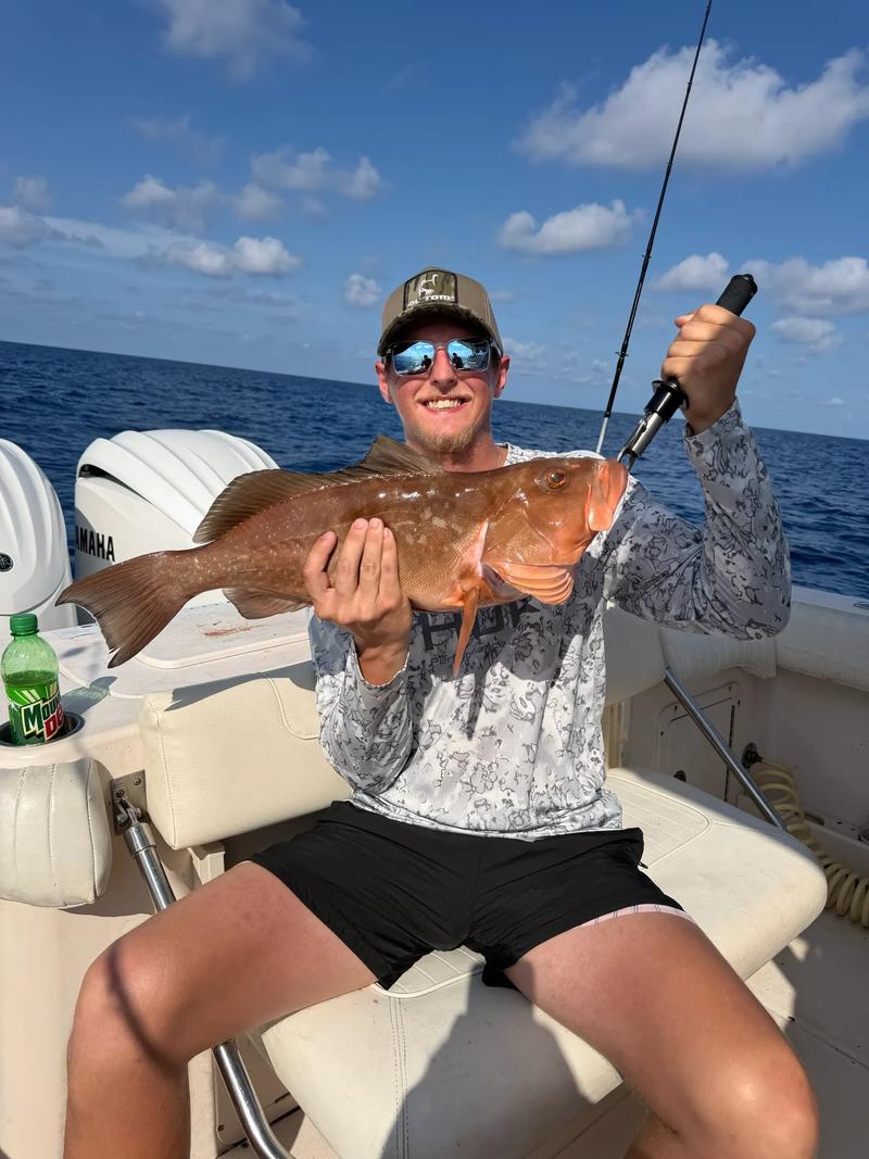Offshore fishing in the Gulf with Go Fish SRQ Charters, Sarasota