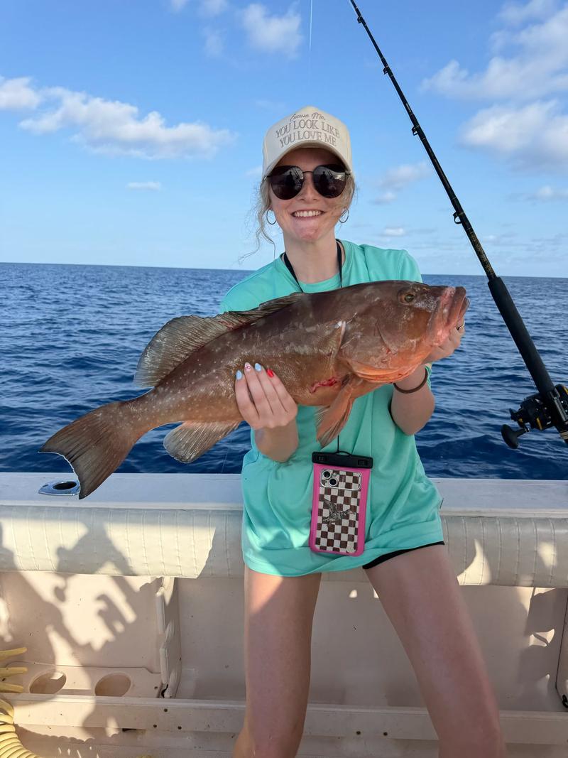 Offshore fishing in the Gulf with Go Fish SRQ Charters, Sarasota