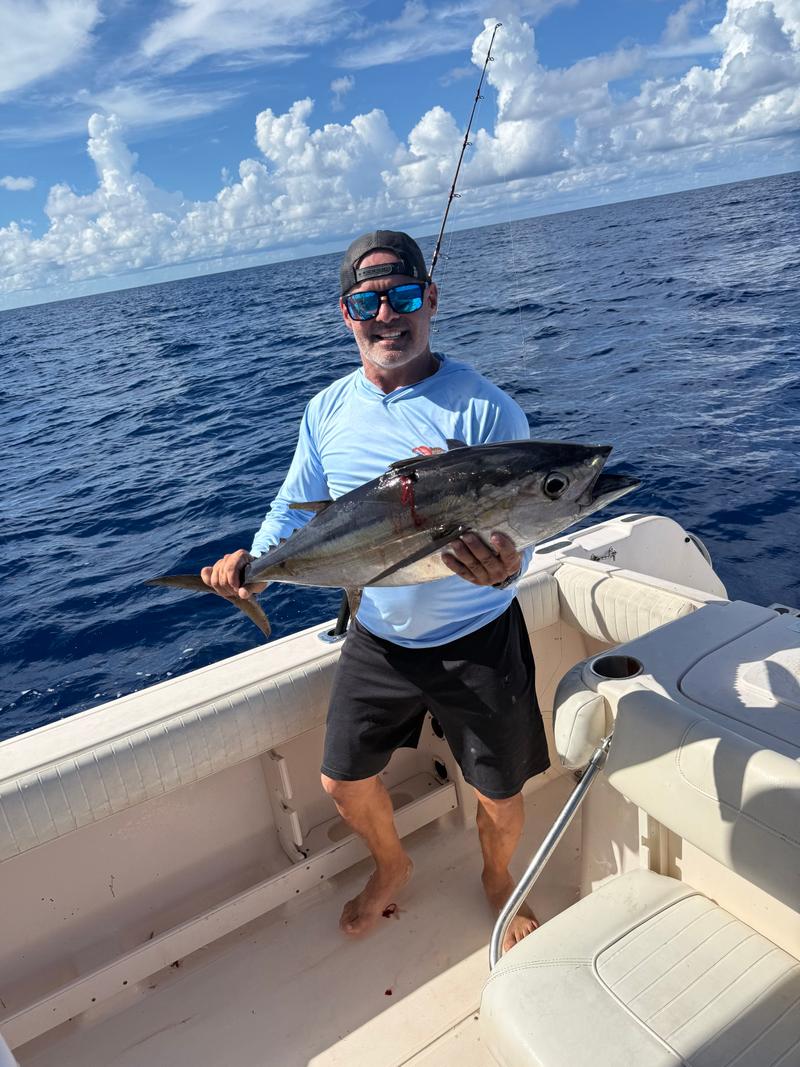 A blackfin tuna caught offshore of Sarasota