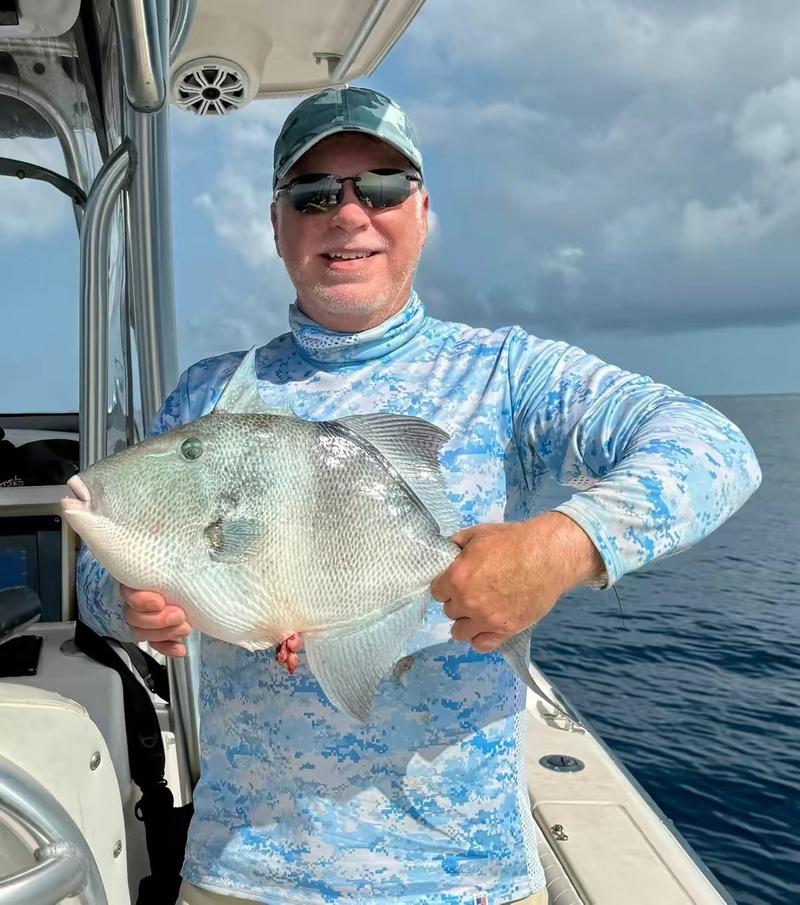A triggerfish from a Gulf reef