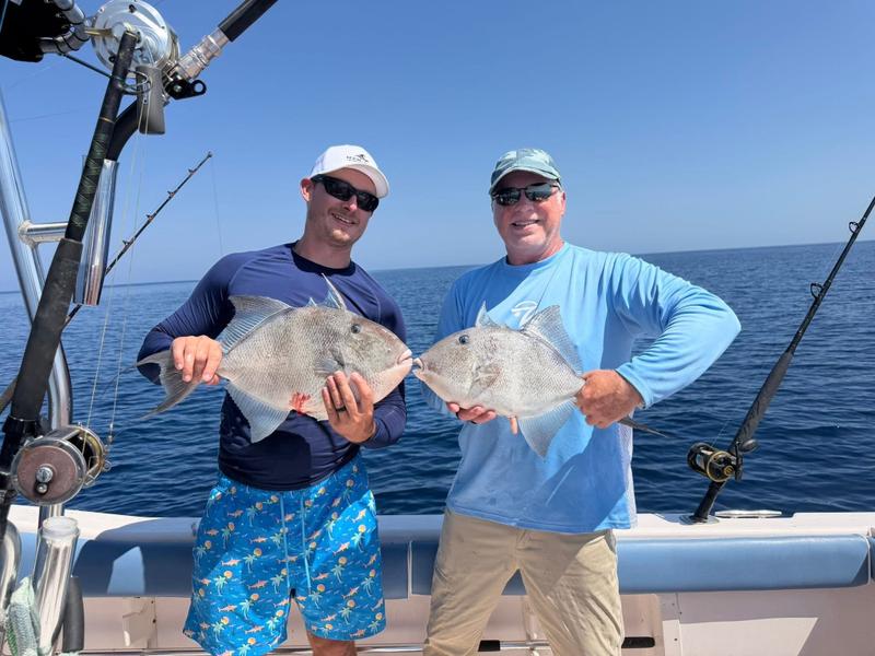 Offshore fishing in the Gulf with Go Fish SRQ Charters, Sarasota