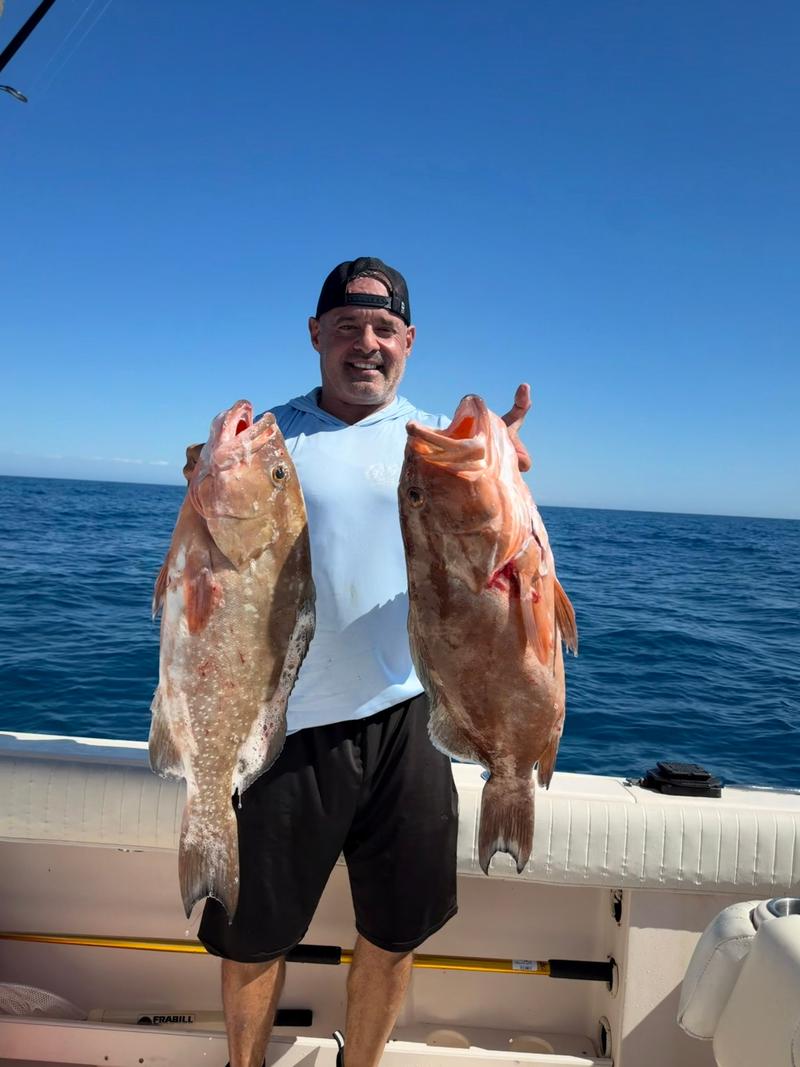 Offshore fishing in the Gulf with Go Fish SRQ Charters, Sarasota
