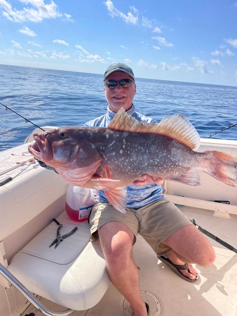 Offshore fishing in the Gulf with Go Fish SRQ Charters, Sarasota