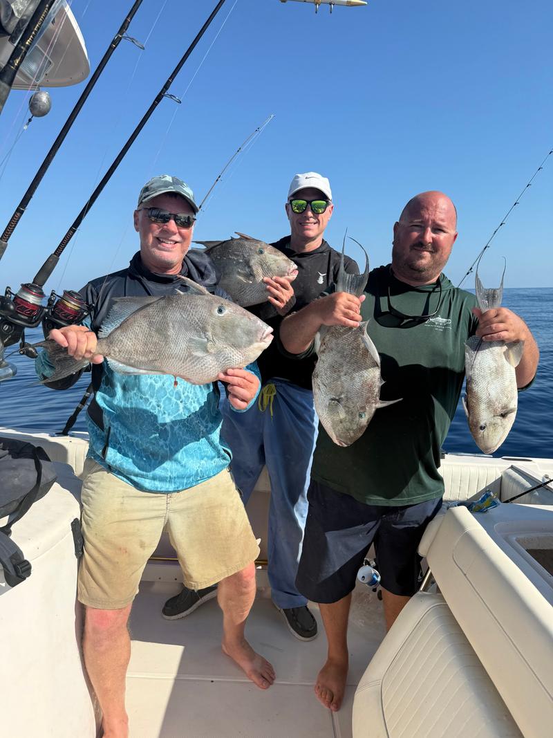 Offshore fishing in the Gulf with Go Fish SRQ Charters, Sarasota