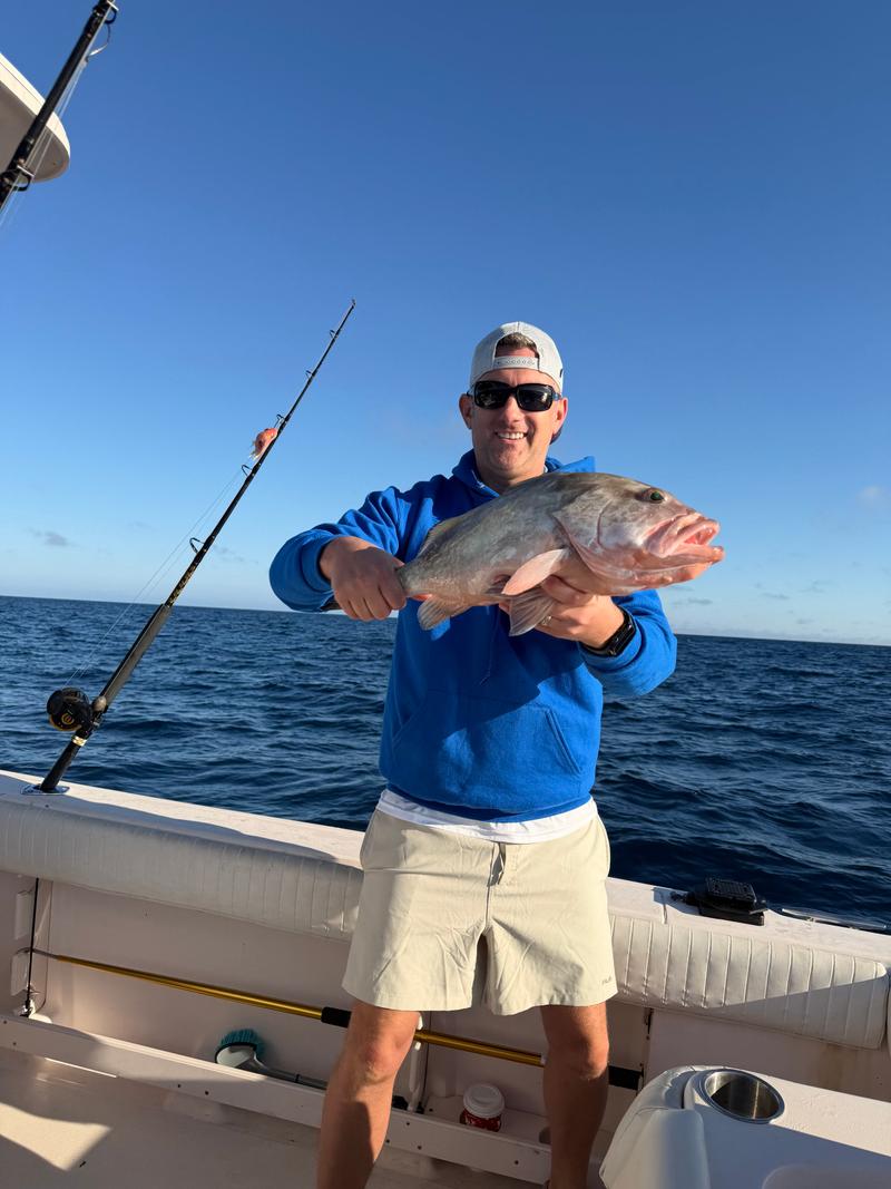 Offshore fishing in the Gulf with Go Fish SRQ Charters, Sarasota