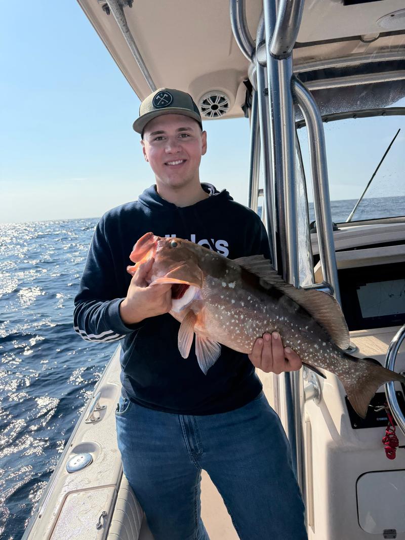 Offshore fishing in the Gulf with Go Fish SRQ Charters, Sarasota