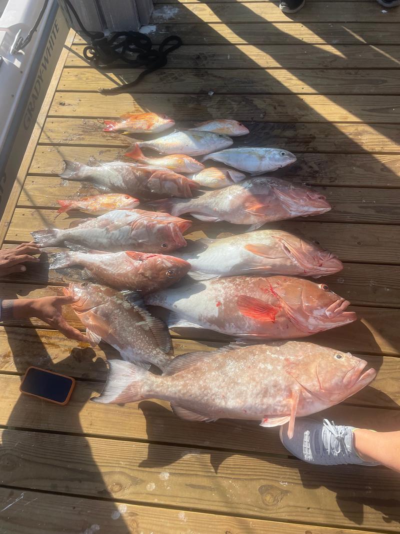 Offshore fishing in the Gulf with Go Fish SRQ Charters, Sarasota