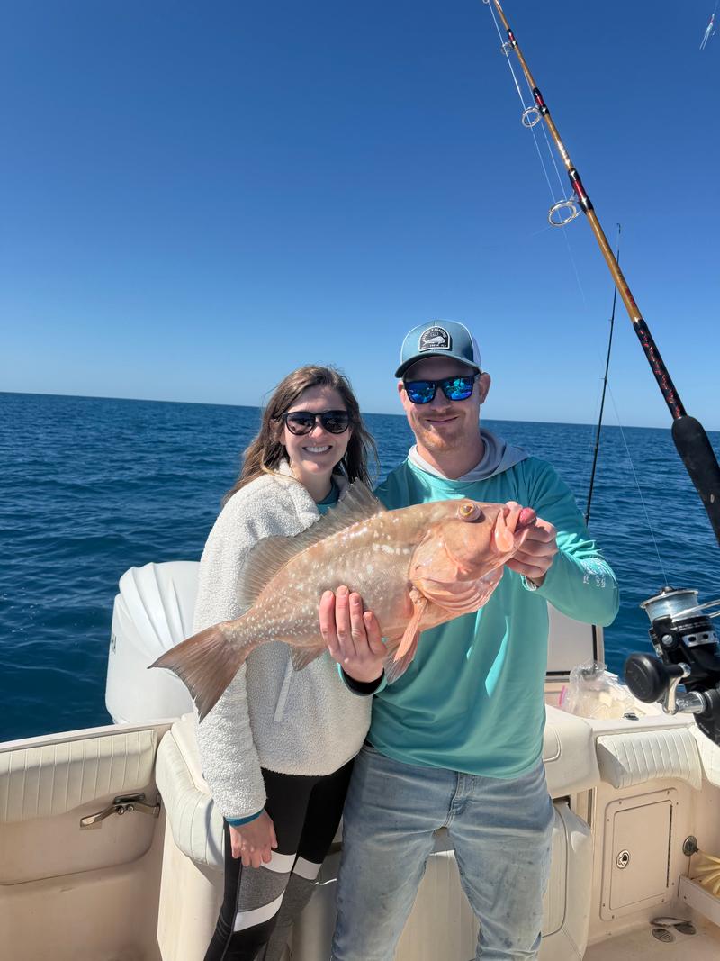 Offshore fishing in the Gulf with Go Fish SRQ Charters, Sarasota