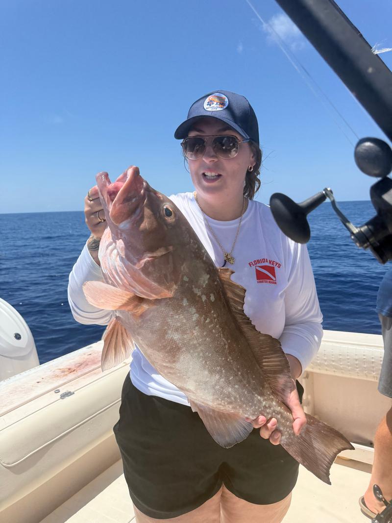 Offshore fishing in the Gulf with Go Fish SRQ Charters, Sarasota