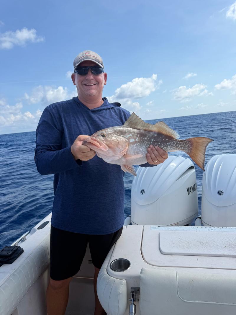 Offshore fishing in the Gulf with Go Fish SRQ Charters, Sarasota