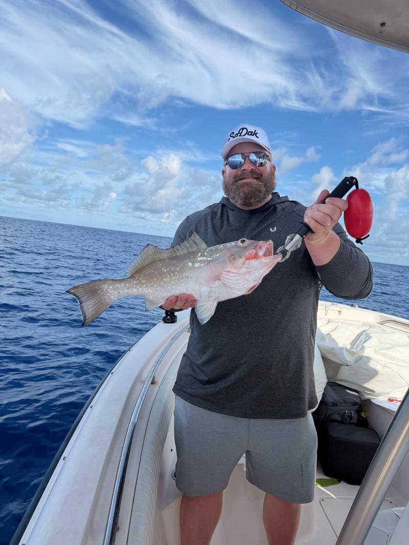 Offshore fishing in the Gulf with Go Fish SRQ Charters, Sarasota