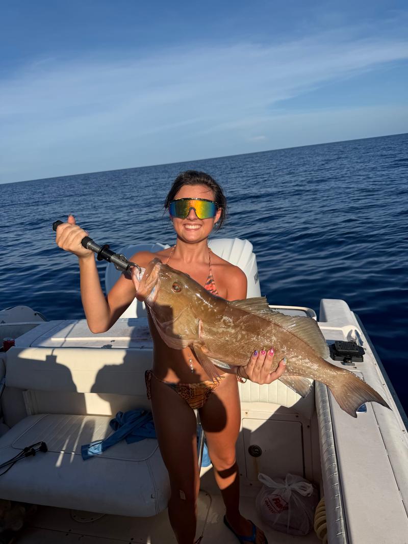 Offshore fishing in the Gulf with Go Fish SRQ Charters, Sarasota