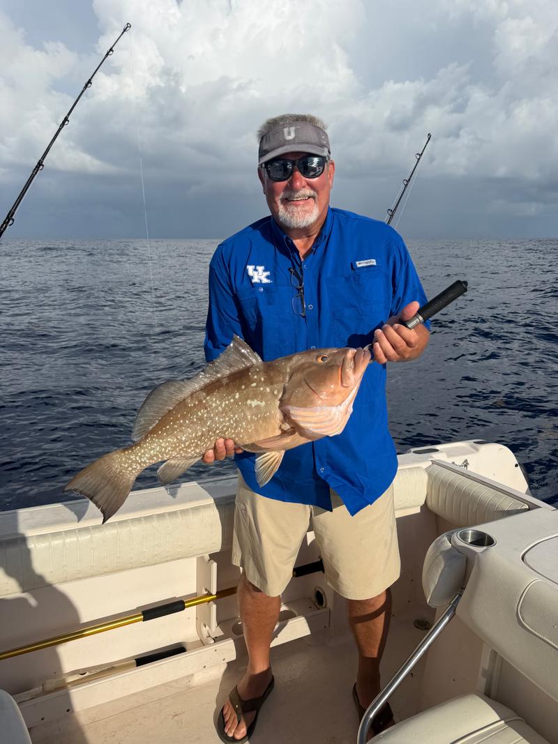 Offshore fishing in the Gulf with Go Fish SRQ Charters, Sarasota