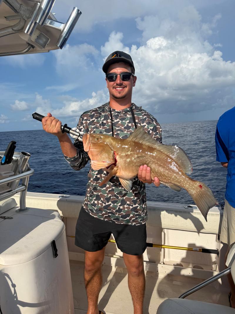 Offshore fishing in the Gulf with Go Fish SRQ Charters, Sarasota