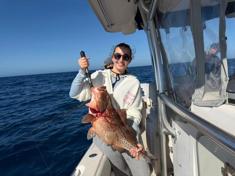 Offshore fishing in the Gulf with Go Fish SRQ Charters, Sarasota