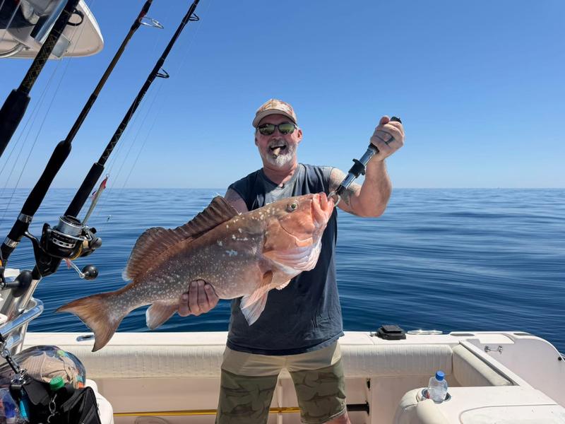 Offshore fishing in the Gulf with Go Fish SRQ Charters, Sarasota