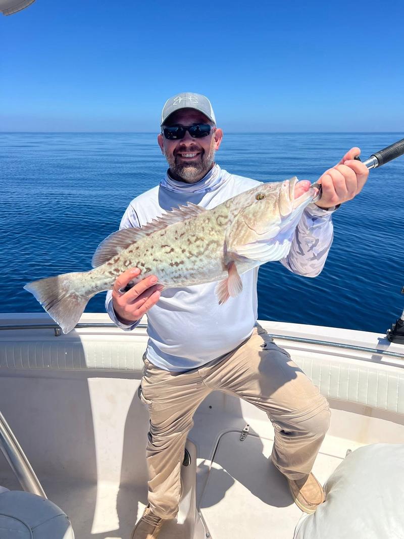 Offshore fishing in the Gulf with Go Fish SRQ Charters, Sarasota