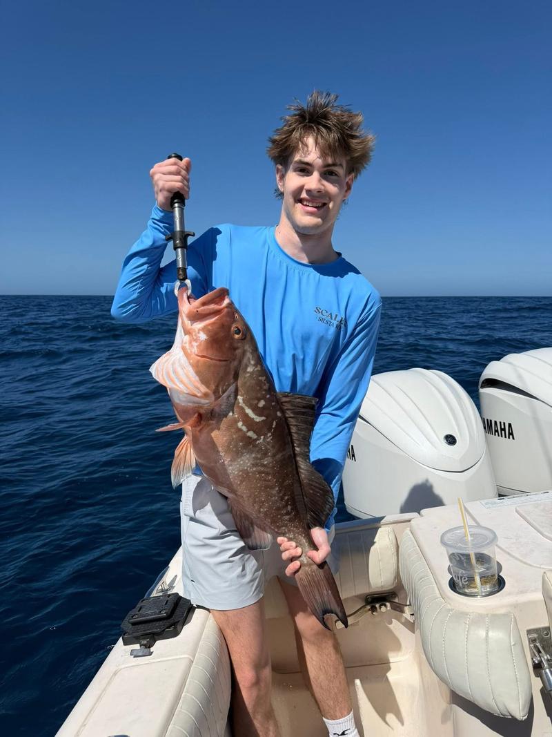 Offshore fishing in the Gulf with Go Fish SRQ Charters, Sarasota