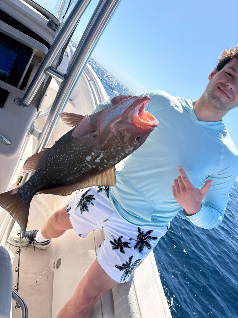 Offshore fishing in the Gulf with Go Fish SRQ Charters, Sarasota