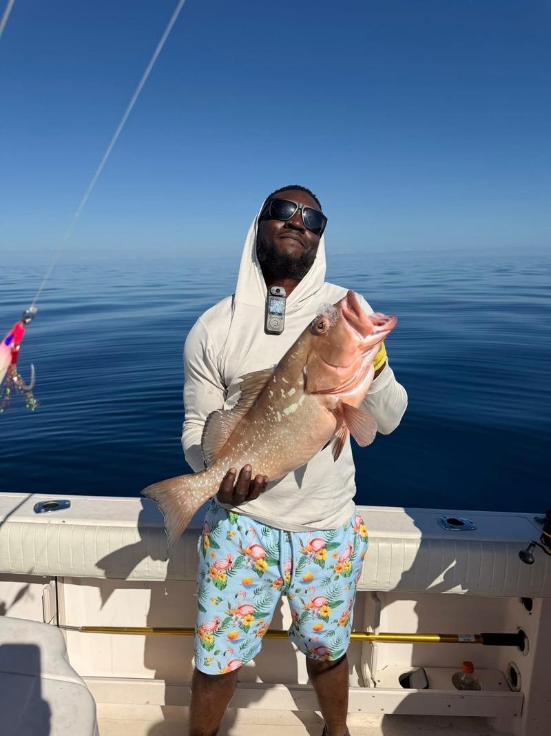 Offshore fishing in the Gulf with Go Fish SRQ Charters, Sarasota