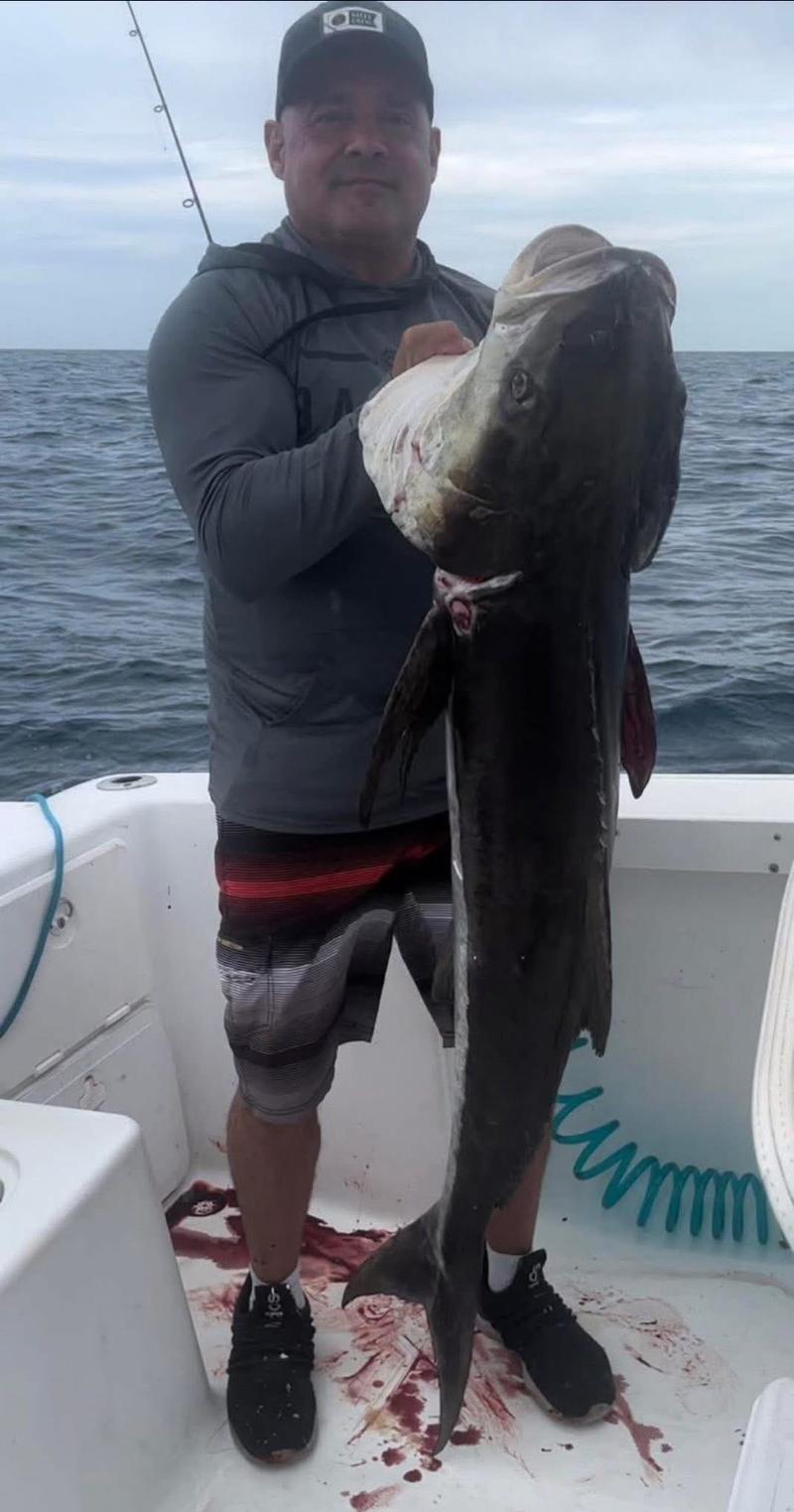 Offshore fishing in the Gulf with Go Fish SRQ Charters, Sarasota