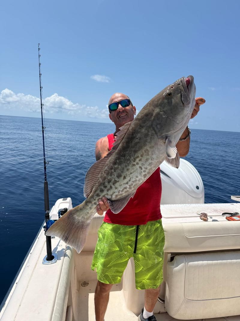 Offshore fishing in the Gulf with Go Fish SRQ Charters, Sarasota