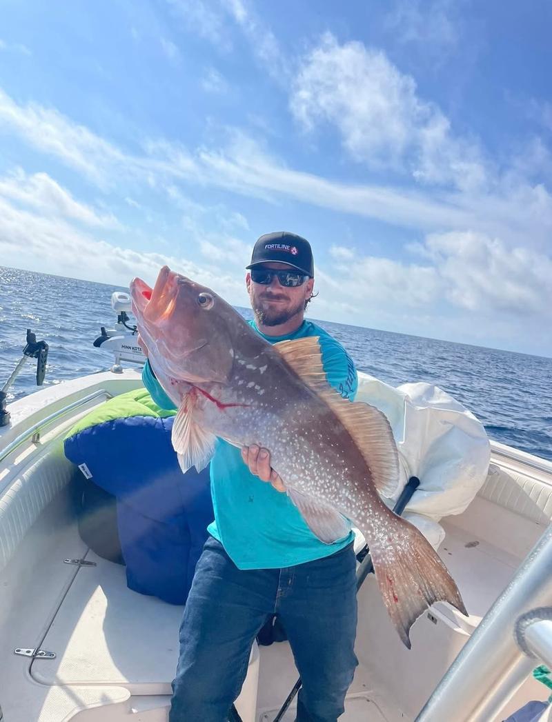 Offshore fishing in the Gulf with Go Fish SRQ Charters, Sarasota