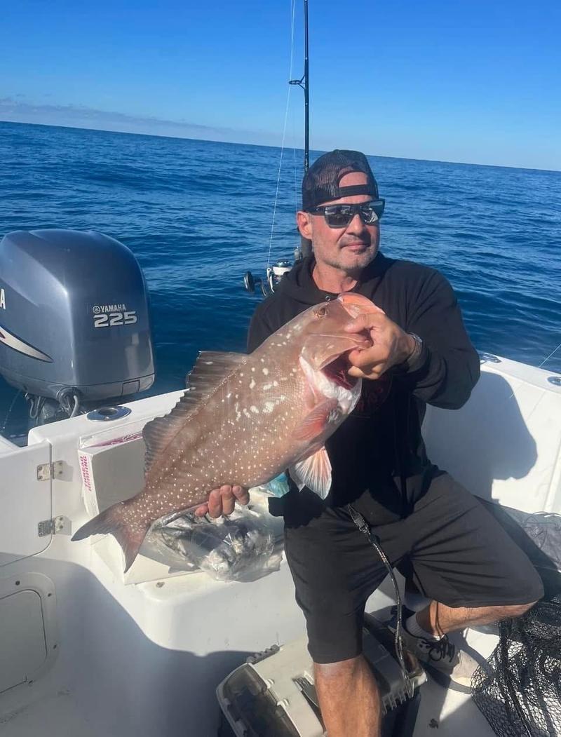 Offshore fishing in the Gulf with Go Fish SRQ Charters, Sarasota