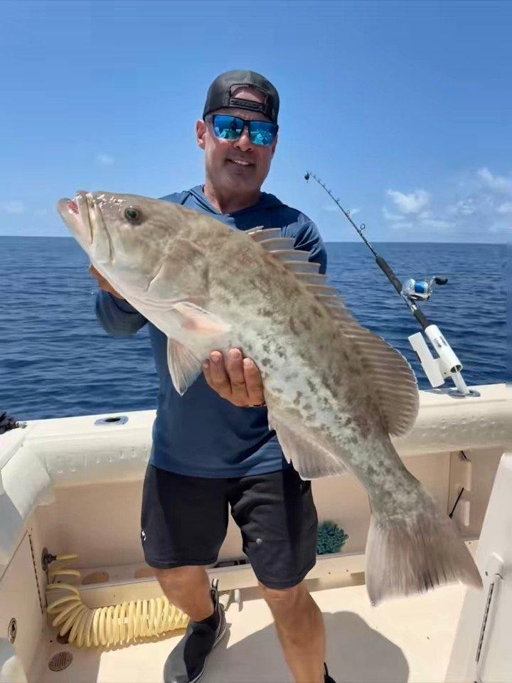 Offshore fishing in the Gulf with Go Fish SRQ Charters, Sarasota