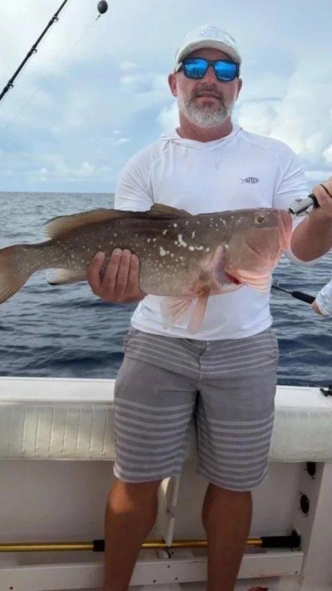 Offshore fishing in the Gulf with Go Fish SRQ Charters, Sarasota