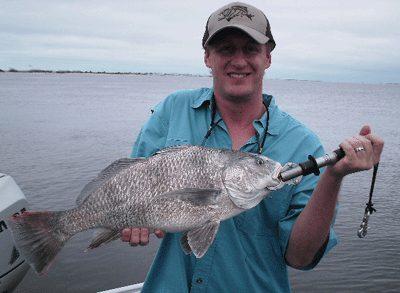 Capt. Dave's Sport Fishing photo