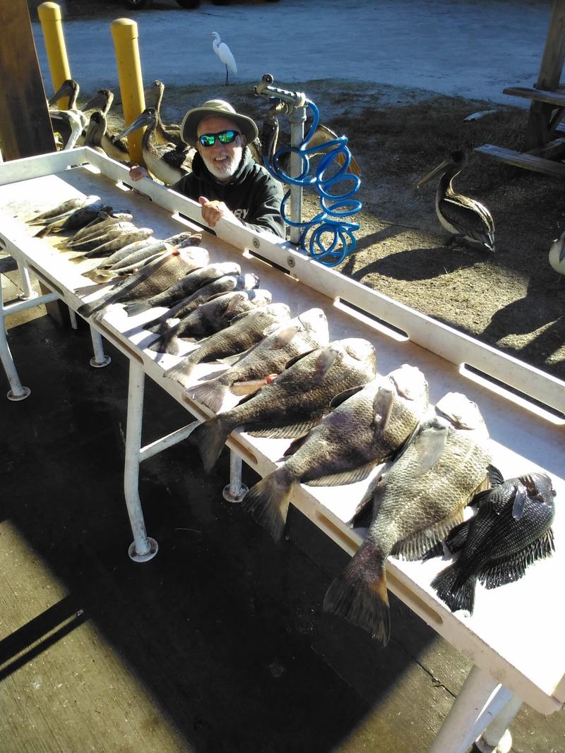 Capt. Dave's Sport Fishing photo