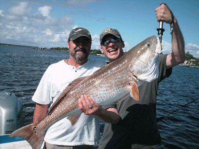 Standard Day Charter